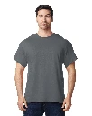 GI5000-2_2026.webp