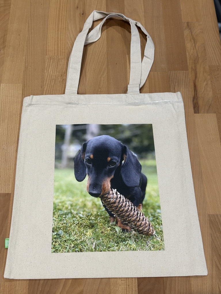 Tasche 320 g/m² Organic Canvas