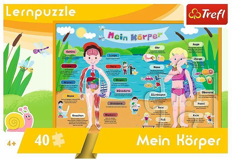 Mein Körper 40 Teile - Deutsche Version