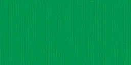 [ls-585] Halsband 22mm grün mit Karabinerhaken 