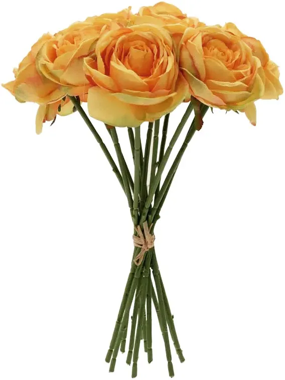 Tea Rose gelb