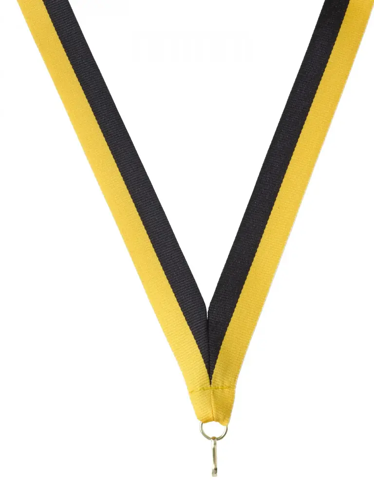 Halsband 22mm schwarz-gelb mit Haken