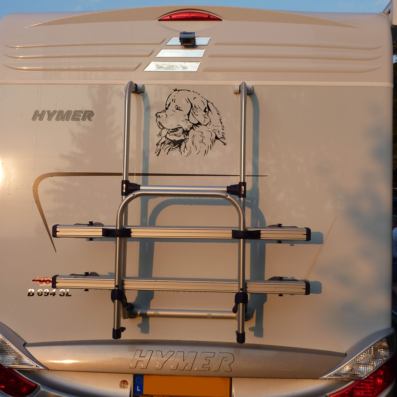 [ls-car-01] Neufundländer 42x42 cm